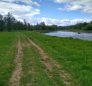 10 km spacer - Krzysztof - 2