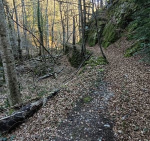 Boucle de Saint-Julien-Chapteuil au Mont Chanis - PHILIPPE - 4