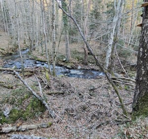 Boucle de Saint-Julien-Chapteuil au Mont Chanis - Saint-Julien-Chapteuil - 2