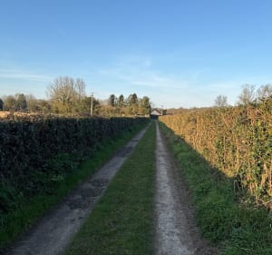 5km autour de Campigneulles-les-Grandes - Campigneulles-les-Grandes - 2