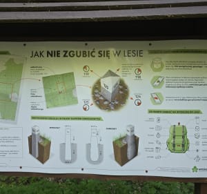 Do wieży Bismarcka - Żary - 2