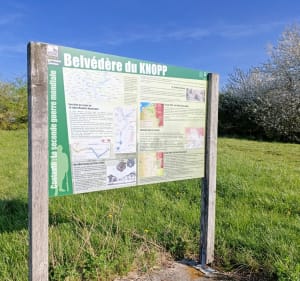 Promenade sur les hauteurs de Sarralbe - Sarralbe - 2