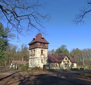 Leśna pętla na Zalew Rybnicki - Rudy - 2