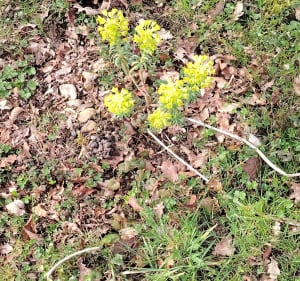 Boucle de Saint Prest - Saint-Prest - 2