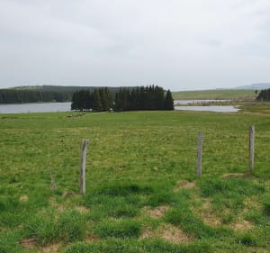 Boucle au lac de Bourdouze - Coralie - 3