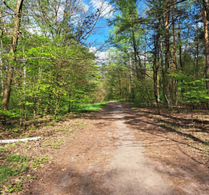Trasa lublinkowa - Sławomira - 2