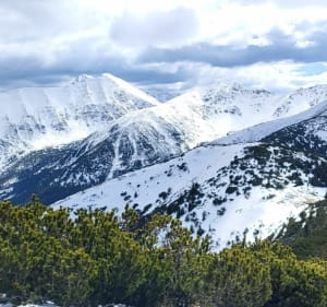 Siwa Polana, Polana Chochołowską i Grześ - Witów - 2