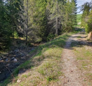 Do rezerwatu Zaskalskie-Bodnarówka - Jaworki - 2