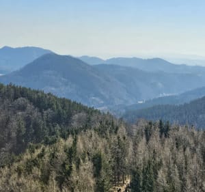 Wejście na Dzikowiec Wielki - Boguszów-Gorce - 2