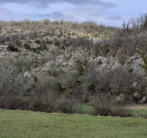 Tour de Cabrerets par le GR651 - Cabrerets - 2