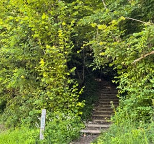 Sentier sur la montagne des grottes de la Balme - La Balme-les-Grottes - 2