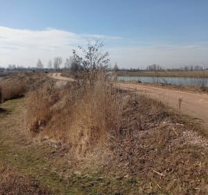 Brzegi uzytek ekologiczny eksploatacja - Kraków - 2
