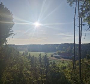10km Niesiołowice-Zdunowice-Ostrowite-Węsiory - Niesiołowice - 4