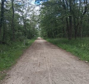 Boucle aux environs du sentier d’Azoulet - Lévignac - 3