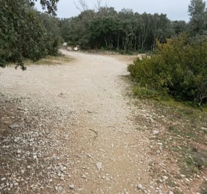 Sentier d'Espigoules à Ginasservis - Ginasservis - 5