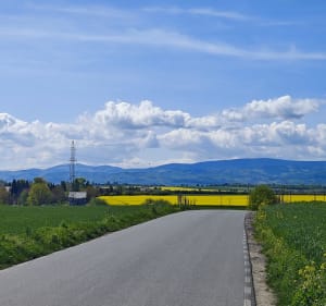 Pieszo, Pszenno i okolice - Maciej - 2