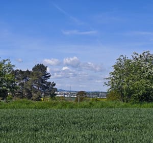 Pieszo, Pszenno i okolice - Pszenno - 2