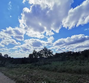 Randonnée autour du golf de Vaquerolles et Puech du Buis - Nîmes - 2