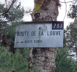 Un petit tour du côté d'Arbonnes - Arbonne-la-Forêt - 2