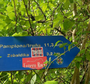 De Zubiri à Pampelune - Zubiri - 2
