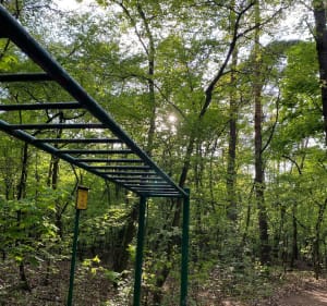 Ścieżka zdrowia w granicach miasta-sposób na aktywny spacer - Wolica - 2
