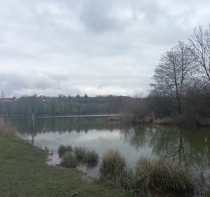 Balade dans Montcarra, proche étang de Gôle - Montcarra - 2