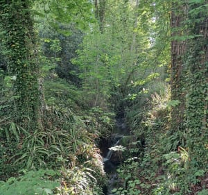 Balade dans la campagne de Villers-sur-Mer - Gonneville-sur-Mer - 2