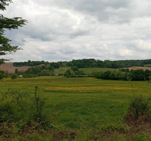 Circuit du minerai  de Vibraye - Vibraye - 2