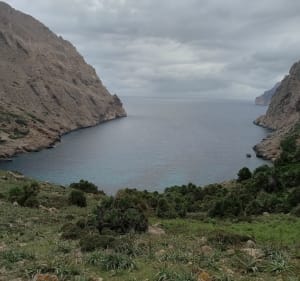 Vall de Boquer - Port de Pollença - 2