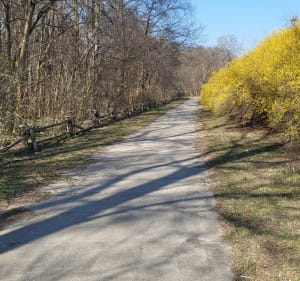 Parki na Woli - Katarzyna - 2