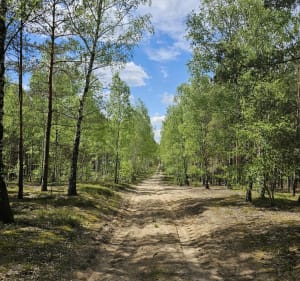 Gostynińsko-Włocławski Park Krajobrazowy - Włocławek - 2