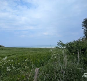 Balade de Pourville, par Hautot-sur-Mer et Château de Bernouville - cecile - 3