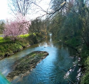 Randonnée de Yèvre-la-Ville par Le Châtel - Yèvre-la-Ville - 2