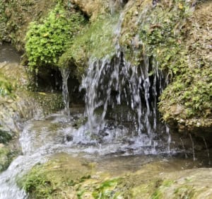 Sources de l'huveaune à Saint-Zacharie - Saint-Zacharie - 2