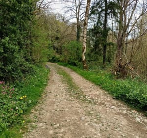 Au cours de La Souleuvre - Souleuvre en Bocage - 2