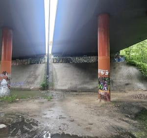 Lasek na Kole runda honorowa - Michał - 3