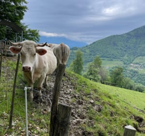 Le Tour, par les Ayes et Col de la Croix de Theys - Theys - 2