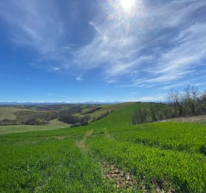 Boucle des hauteurs de Carbonne au pied de Rieux Volvestre. - Manu - 3