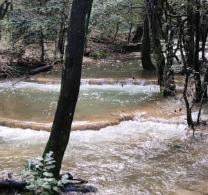 Les Sources de l'Huveaune - Saint-Zacharie - 2