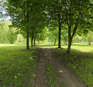 Jezioro Długie Szczytno - Szczytno - 2