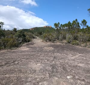 Balade à la Bouverie - Roquebrune-sur-Argens - 2