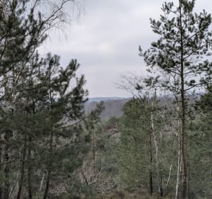 Balade autour de la réserve du petit étang neuf - Hermeray - 3