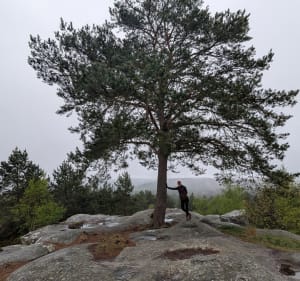 De la faisanderie à Franchard, la grande boucle - Fontainebleau - 2