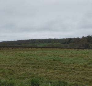 Boucle commune du Landreau - Le Landreau - 2