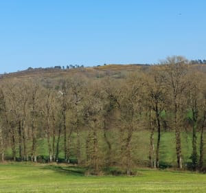 Les Landes Trecesson - Campénéac - 2