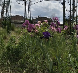 Parc Saint-Crépin et écluse de Vauxrot - Céline - 3