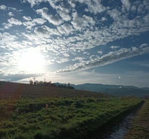 Saint Etienne des Oullières,  13 km au milieu des ceps - Saint-Étienne-des-Oullières - 2