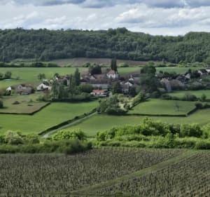 Rully par les sentiers et  les vignes - Rully - 2