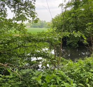 Entre Sacquenville et Brosville et Bois Huard - FABIENNE - 3