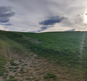 Vagabondages dans les collines de Lempdes et Puy d'Anzelle. - Lempdes - 2
